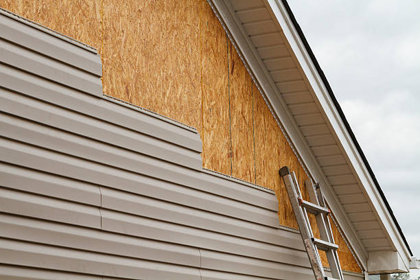 Professional Siding Repair technician working in Berea, KY